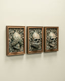 Three Wise Skulls